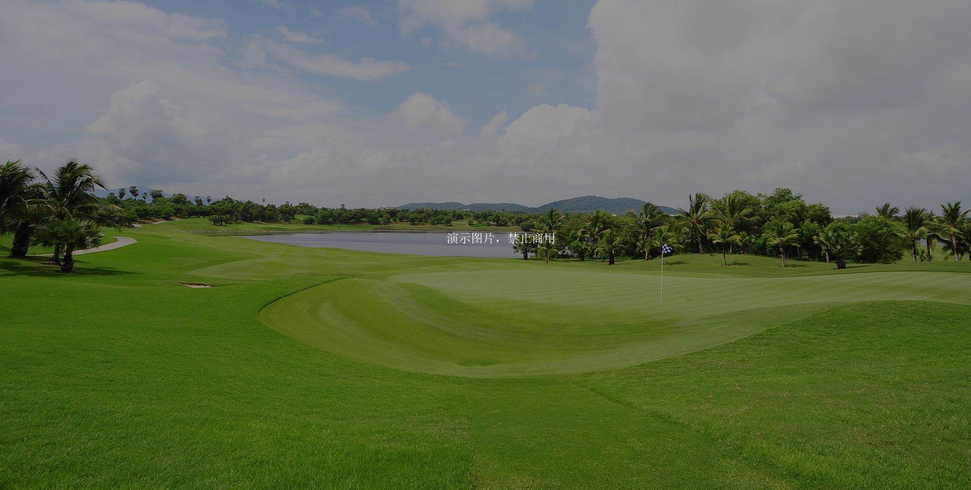 高品质人造草坪